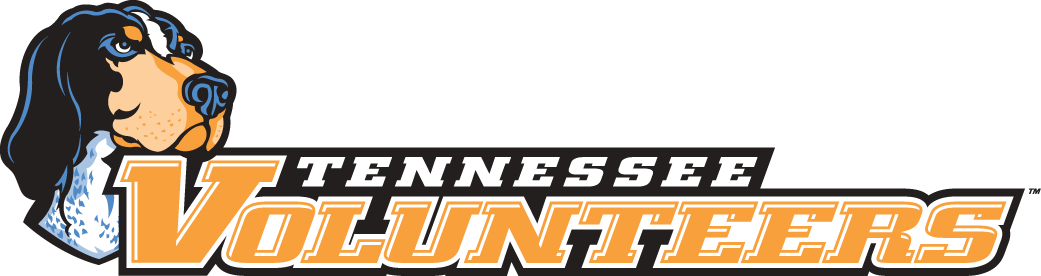 Tennessee Volunteers 2005-Pres Wordmark Logo v4 diy DTF decal sticker